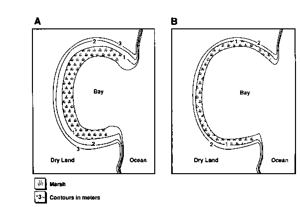 Why Will We Lose Marshes?