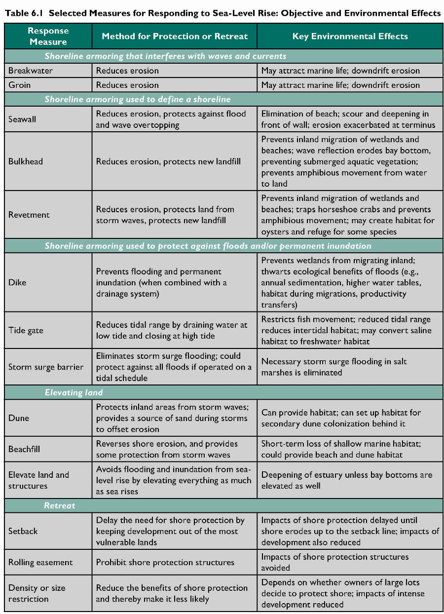 environmental impacts of different responses to sea level rise